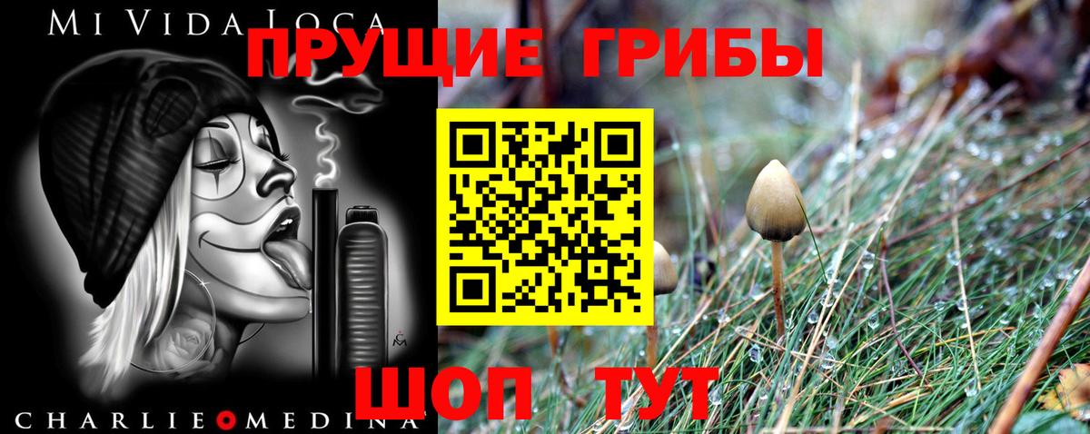 Евпатория  продажа наркотиков  Вход с VPN  Псилоцибиновые грибы прущие грибы 